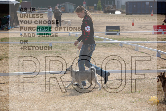 Ringside Longview WA 2024 Alaska Klee Kai #400_JJL_3552_Longview WA_2024_HR3