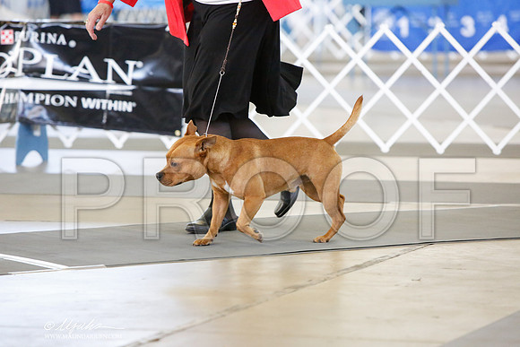 _JJ_7373-DallasJul2014-HR3