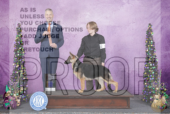 German Shepherd Dog #10 Fri BPupG2 Judge Justin DannenbringGerman Shepherd Dog #10 Fri BPupG2 Judge Justin Dannenbring_WP_5042e-_Alexandria LA 2026-HR3