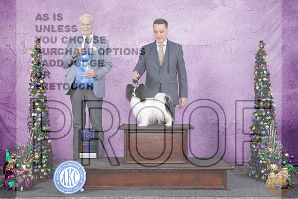 Papillon #9 Fri G1 Judge Jon ColePapillon #9 Fri G1 Judge Jon Cole_WP_5288e-_Alexandria LA 2026-HR3