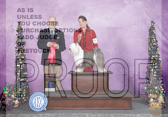 Tibetan Terrier #6 Sun G2 Judge John Constantine AmodeiTibetan Terrier #6 Sun G2 Judge John Constantine Amodei_WP_6014e-_Alexandria LA 2026-HR3