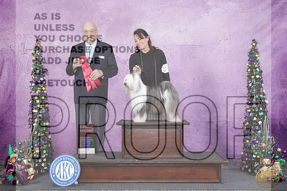 Tibetan Terrier #6 Sat G2 Judge Joe PurkhiserTibetan Terrier #6 Sat G2 Judge Joe Purkhiser_WP_5697e-_Alexandria LA 2026-HR3