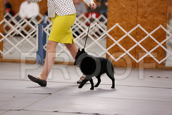 _RH_6373-CarlrolltonSept2014-HR3