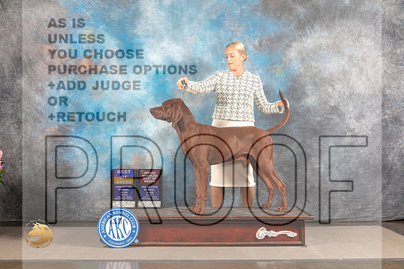 Redbone Coonhound #5 FRI BOB OHBOB Judge Barbara Alderman_MJ_5319_Houston_2022_HR3
