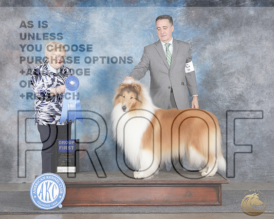 Rough Collie #5 Fri G1 Judge Judy Brown_WP_9594-_Midland 2026-HR3