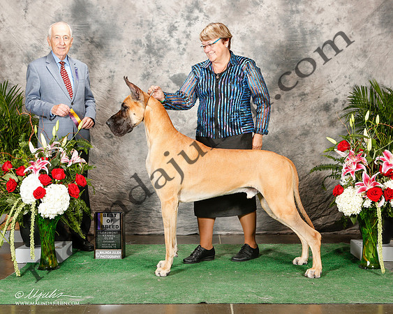 _ST_8853-2-Hstn July2015-HR3