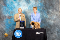 Pekingese #5 Sat BOW Judge Bradley Jenkins