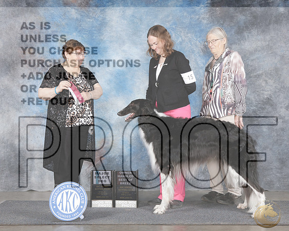 Borzoi #15 Sun SD OHBOB M Judge Patricia AlsinaBorzoi #15 Sun SD OHBOB M Judge Patricia Alsina_WP_0002e-_Midland 2026-HR3