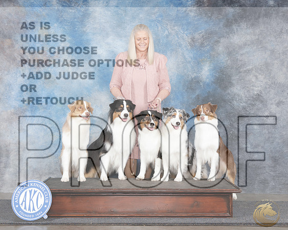 Australian Shepherd Family FINAL _WP_0017e2-_Midland 2026-HR3