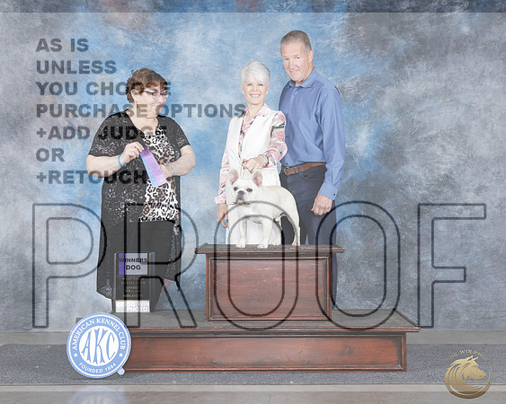 French Bulldog #23 Sat WD Judge Patricia AlsinaFrench Bulldog #23 Sat WD Judge Patricia Alsina_WP_9801e-_Midland 2026-HR3