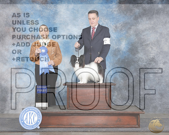 Papillon #7 Sat G1 Judge Carolyn HerbelPapillon #7 Sat G1 Judge Carolyn Herbel_WP_0082e-_MIdland 2026-HR3
