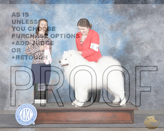 Samoyed #15 Sat VG1 Judge Rebeca rSamoyed #15 Sat VG1 Judge Rebeca r_WP_0112e-_MIdland 2026-HR3