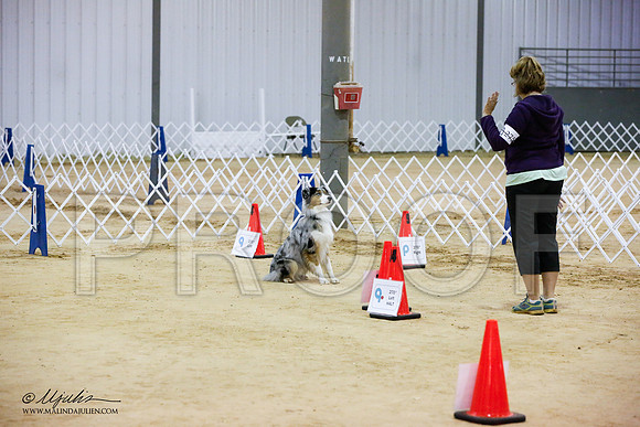 _JJ_3669-ASCACollegeStationNov2014-HR3