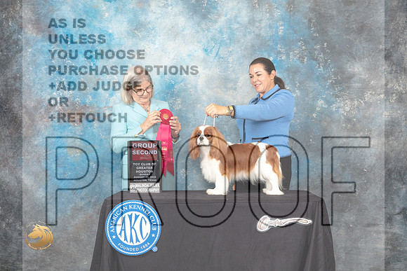 Cavalier King Charles Spaniel #8 Sun G2 Judge Carol Pyrkosz_MJ_0520_HstnTOY_2022_HR3