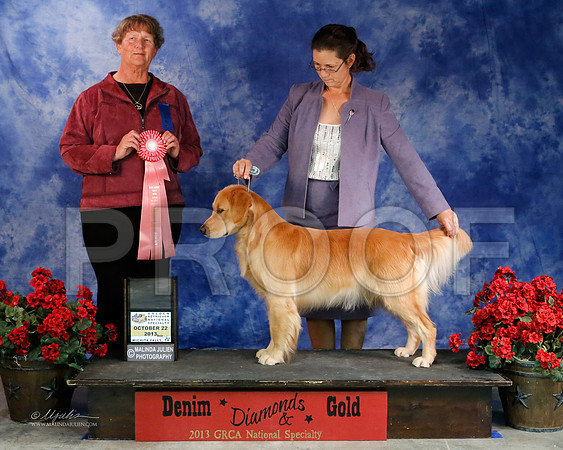 GunDog-8973-WFOct2013-HR