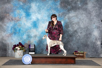 Whippet #20 Sat WB Judge Eric Liebes