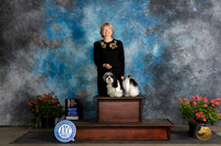 Havanese #6 Sat BOSGCH Judge Christie Martinez