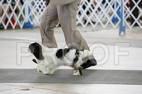 _CK_3349-DallasJul2014-HR3