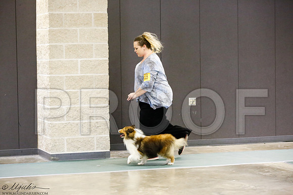 _J3L3332-BeltSep2014-HR