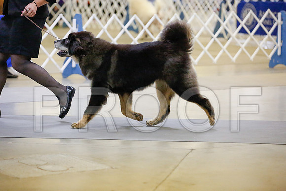 _JJ_7637-AmarilloSept2014-HR3