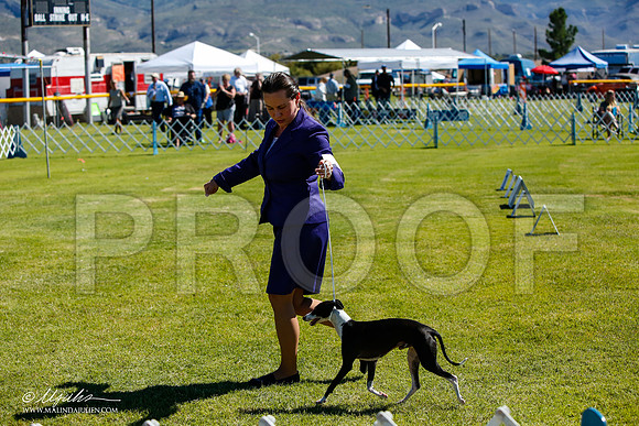 _JJ_5349-AlamogordoOct2014-HR3