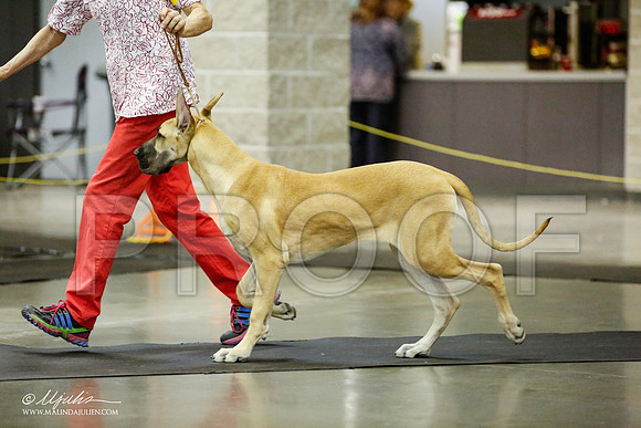 _RH_1693-BeltonJan2015IABCA-HR3