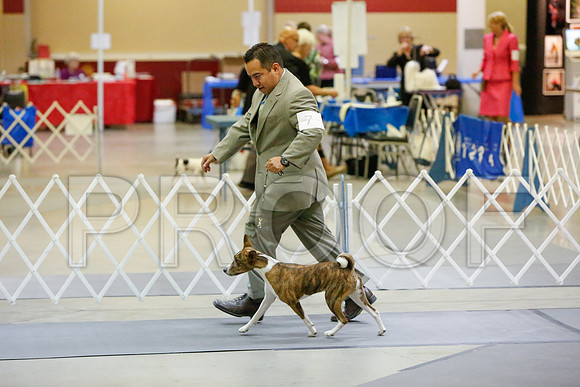 _JJ_3485-AmarilloSept2014-HR3