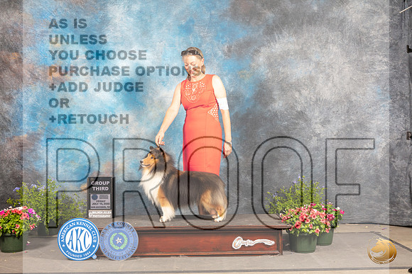 Shetland Sheepdog #19 Fri G3 Judge Allen Odom_MJ_0095_SA_2022_HR3