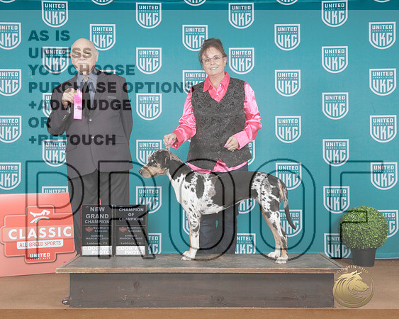 LCLD with owner #100 Sun NGCH Judge Larry Hansen-_P2_8133e_UKC Southern Classic 2026-HR3