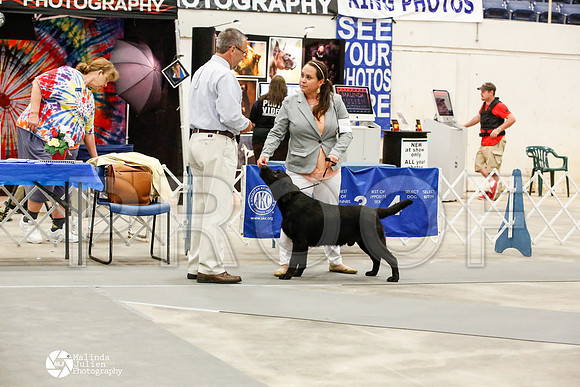 _JN_9953-AblnMay2014-web