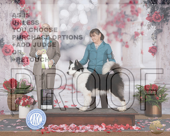 Yakutian Laika #547 Fri BIS Misc Judge David PeatYakutian Laika #547 Fri BIS Misc Judge David Peat_WP_6625e-_Texarkana 2026-HR3