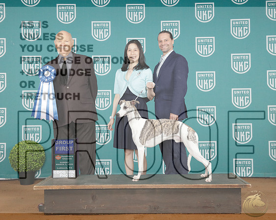 Whippet #5 Sat BOS Debbie MelgreenWhippet #5 Sat BOS Debbie Melgreen_WP_1907e-_UKC Southern Classic 2026-HR3