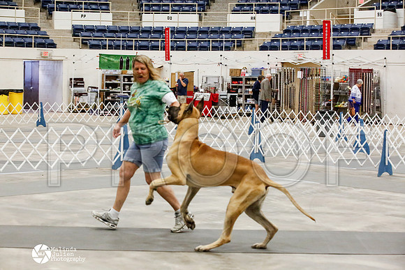 _HR_1523-AblnMay2014-web