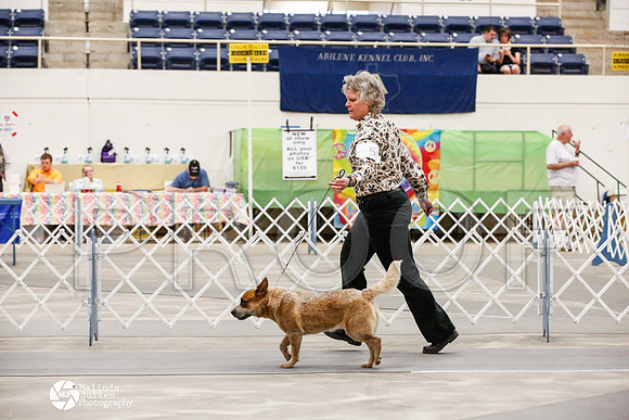 _JJ_9582-AblnMay2014-web