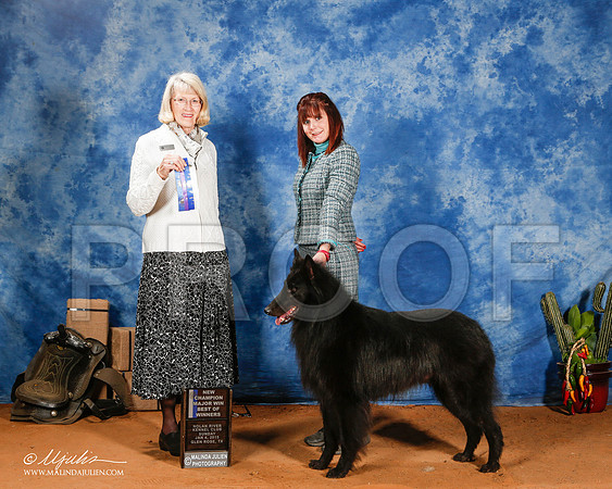_ST_1377-2-GlenRoseJan2015-HR3