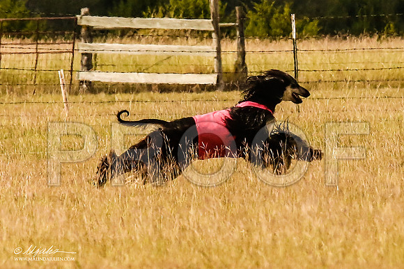_MJ_5328-AfgBeltonOct2014-HR3