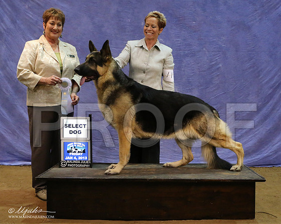 GSD-7127-LR