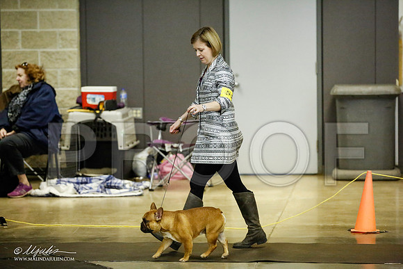 _JJ_5550-BeltonJan2015IABCA-HR3