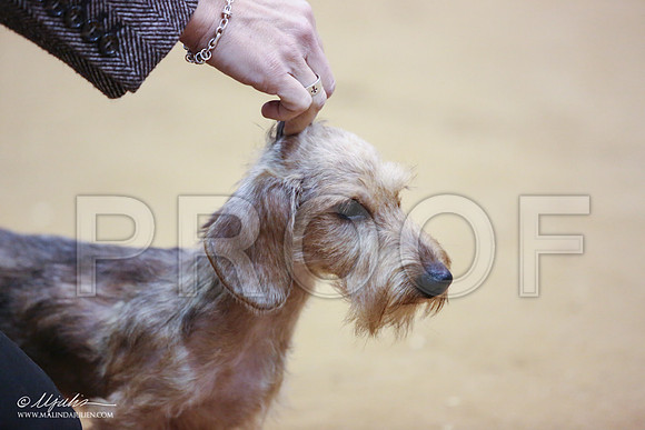 DachW-0539-LR