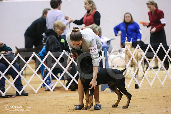 dobe-7734-LR