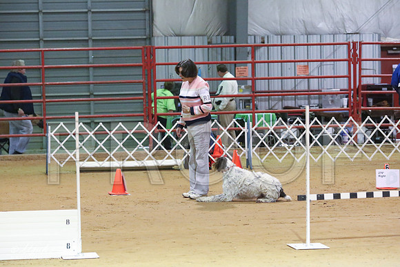RallyExB-8311-LR