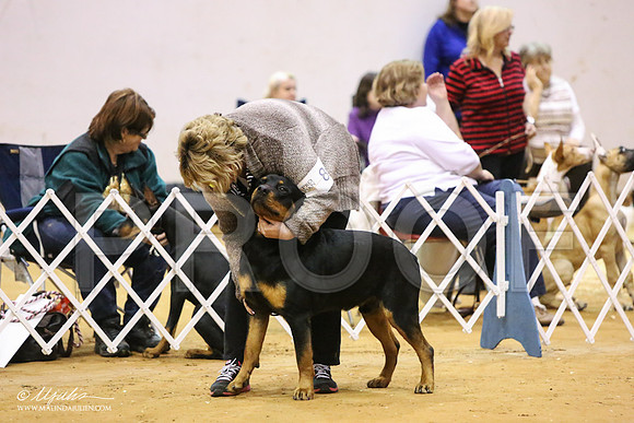 Rott-8131-LR