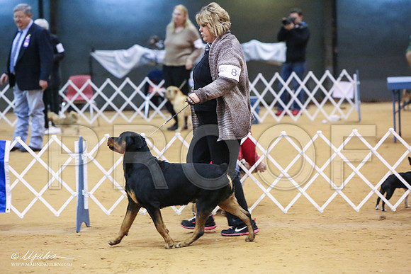 Rott-8138-LR