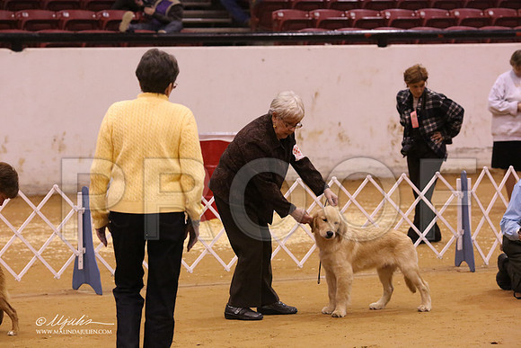 SportingGrp-8266-LR