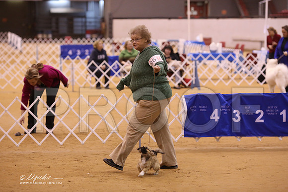 TibS-8652-LR