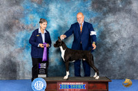 Boxer #21 WED WD Judge Cathy De La Garza