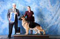 German Shepherd #9 Fri G1