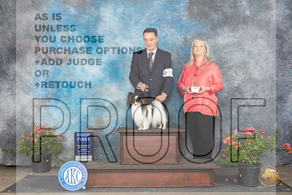 Papillon #23 Sun G1 Judge Polly Smith__JP_6422_San Antonio_2024_HR3