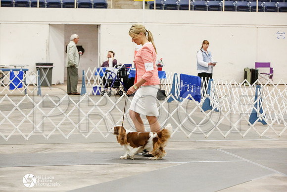 _CK_7927-AblnMay2014-web