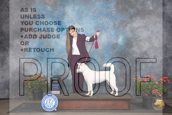 Kishu Ken #6 G#3 Judge Elizabeth ‘Beth’ Sweigart__JP_5295_San Antonio_2024_HR3